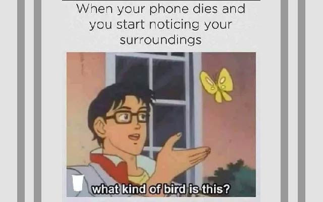 smartphone_memes